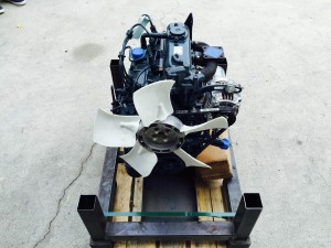 motore kubota D1105 (3)