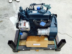 motore kubota D1105 (4)